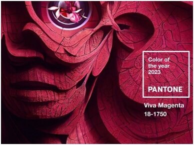 Color of the year 2023 according to the Pantone Color Institute