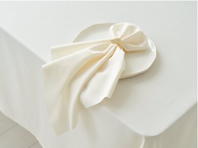Champagne colored tablecloth SATEN 2
